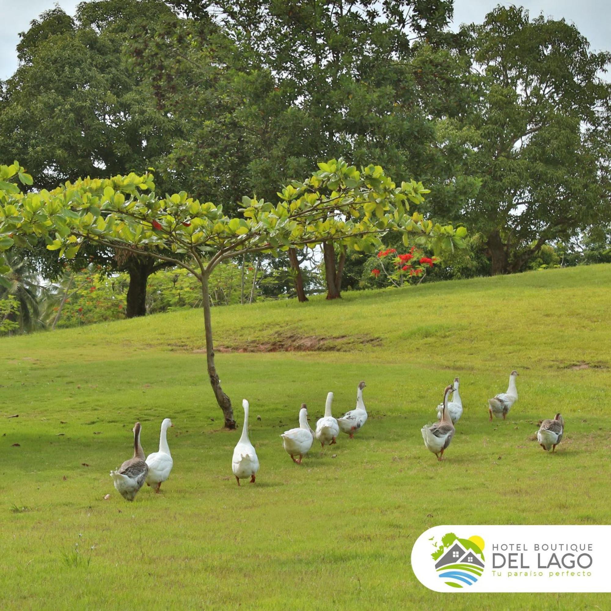 Hotel Boutique Del Lago Nagua Esterno foto